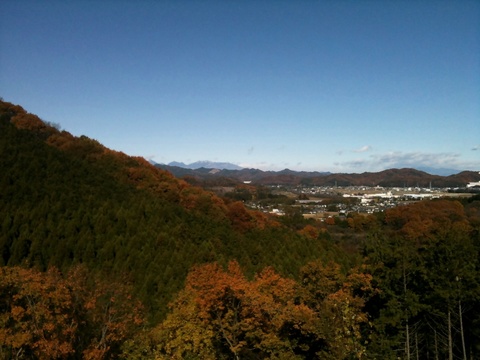 IMG_1570.jpg